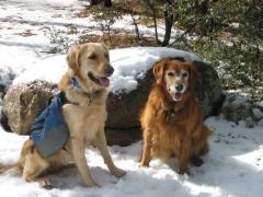 Holiday hike in the Arizona mountains
